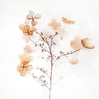 Flowers.